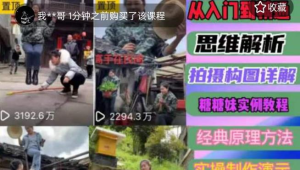 东方糖糖妹抖音短视频全套实战课思维+拍摄+剪辑+运营，从入门到精通网赚项目-副业赚钱-互联网创业-资源整合西狂乐