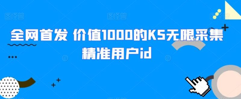 全网首发 价值1000的KS无限采集精准用户id网赚项目-副业赚钱-互联网创业-资源整合西狂乐