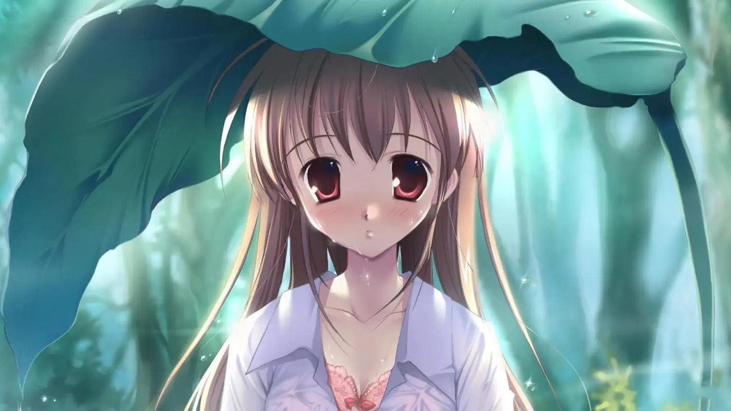 站长的头像网赚项目-副业赚钱-互联网创业-资源整合西狂乐